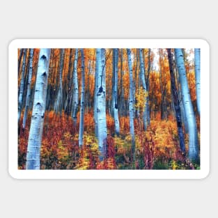 Colorful Aspens Sticker